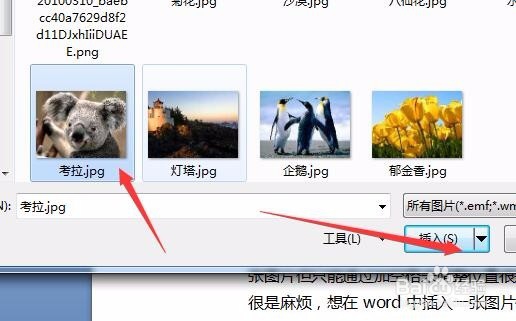word怎么插入图片并移动
