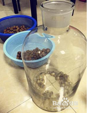 新鲜桂圆泡酒的做法