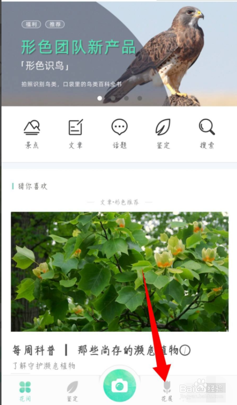 形色怎么下载植物壁纸