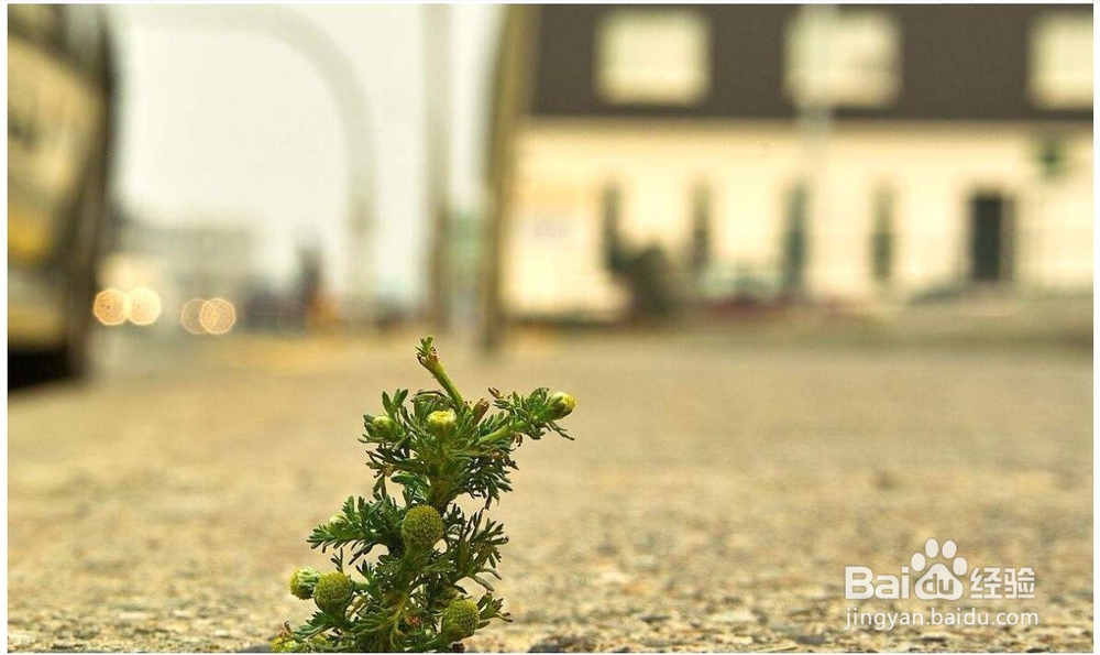 平时的小事中，怎样做到高情商？