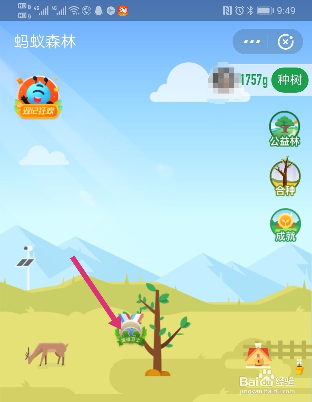 支付宝蚂蚁森林环保证书怎么挂在树上面