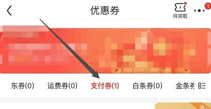 京东在哪查看支付券?