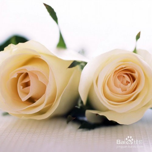 女性怎么样变年轻