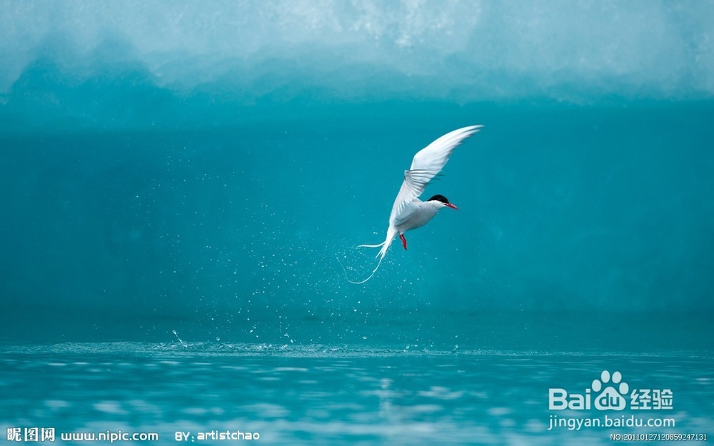 高中化学尖子生提升攻略方法---2.3