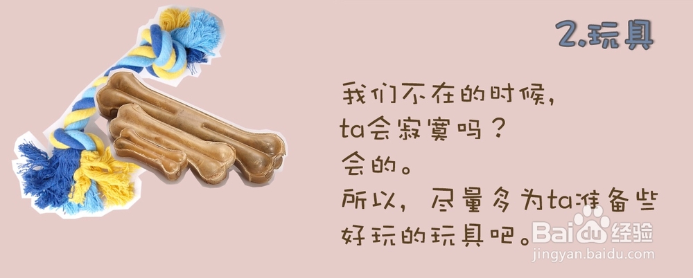 新狗狗进家前必须备齐的7种物品