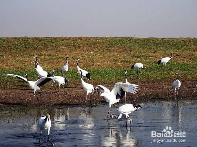 一路向北，风林火山——黑龙江