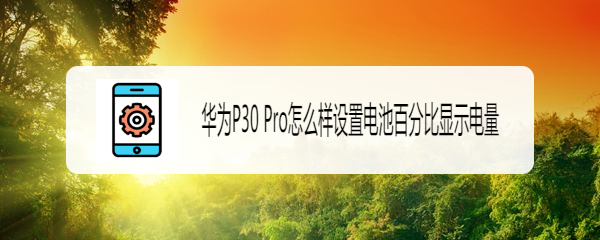 华为P30 Pro怎么样设置电池百分比显示电量