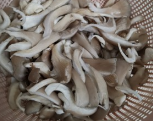 蘑菇炒韭菜的做法