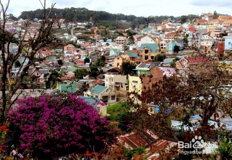 适合情侣浪漫旅行 消费不高的国家 瑶亚岛&大叻