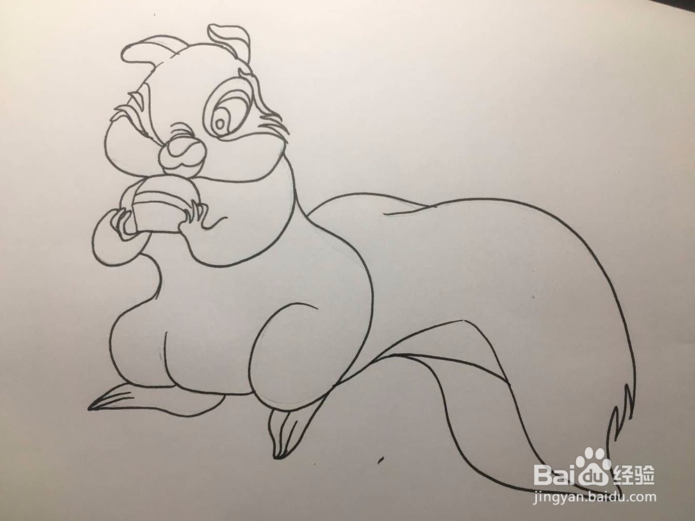 儿童彩色涂鸦:画一只准备吃面包的松鼠 手绘