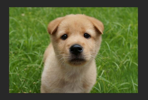 如何用Ps将图片像素比设置为358×441，且大小小于27KB