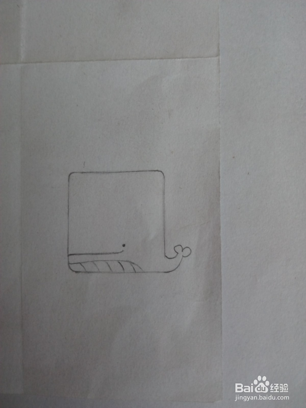 怎样画小鲸鱼简笔画？