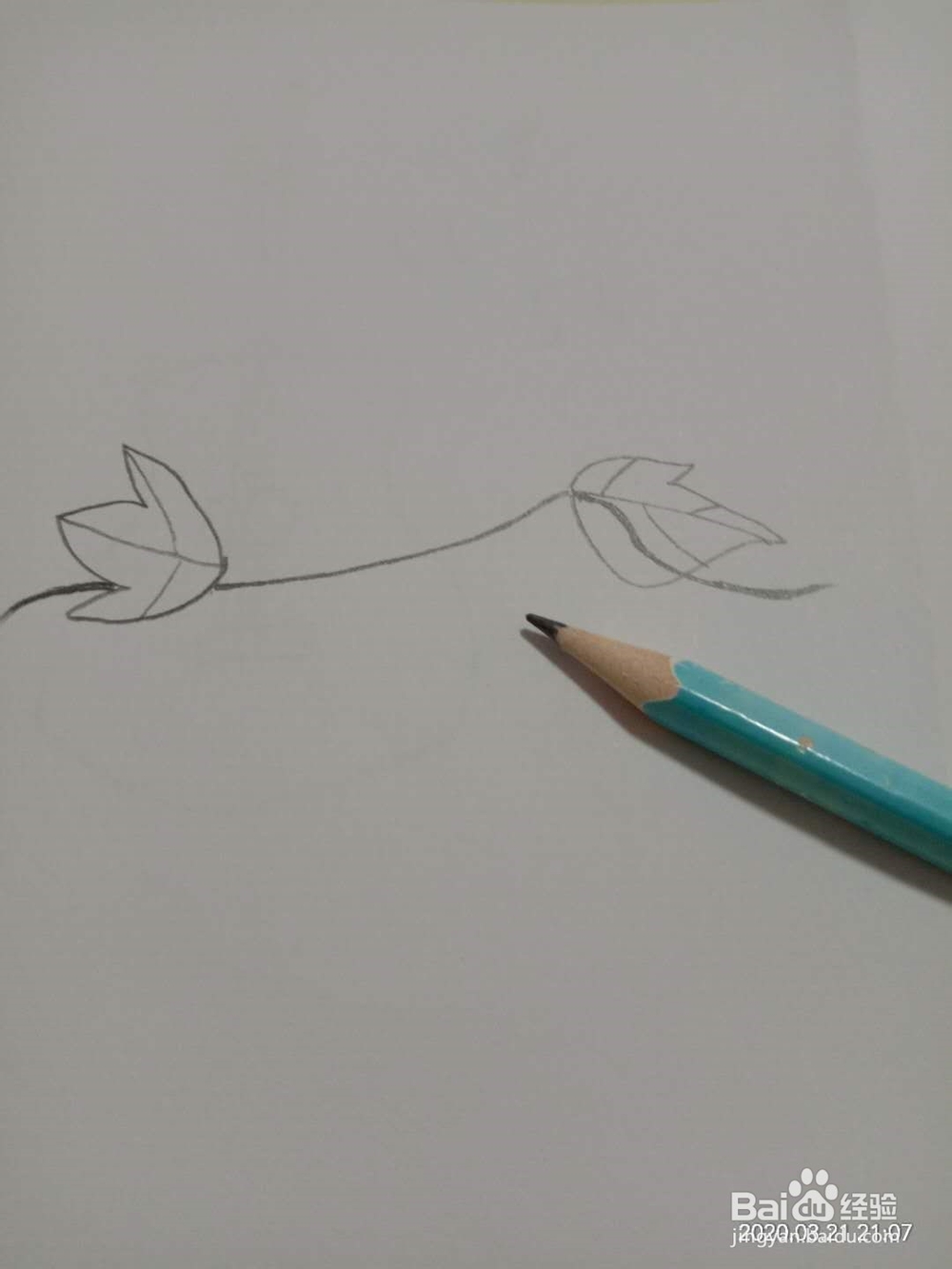 简笔画 如何画葫芦