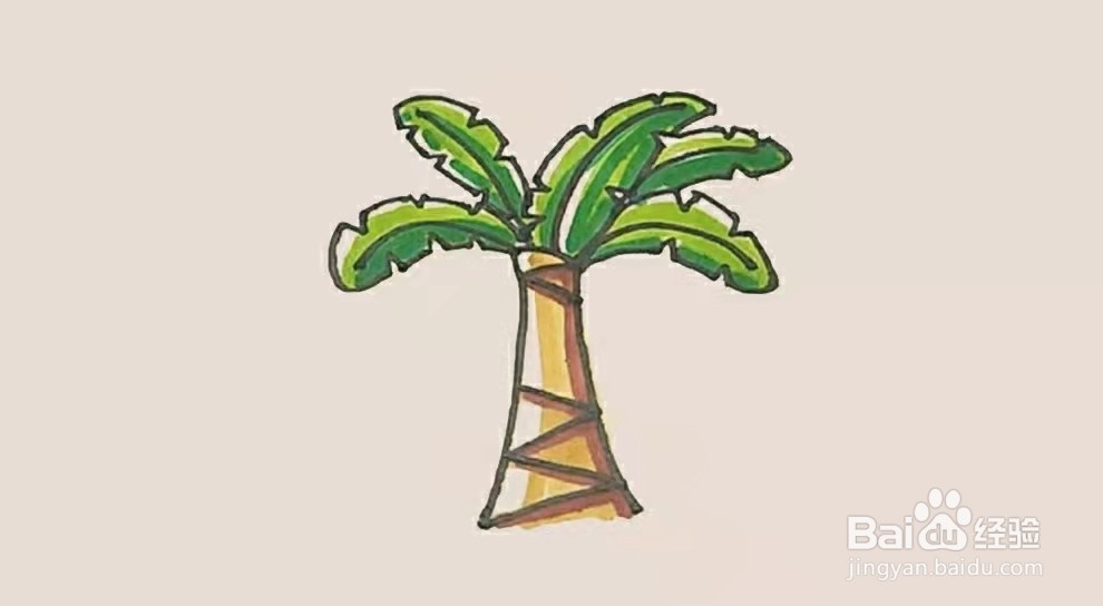 怎么画芭蕉树