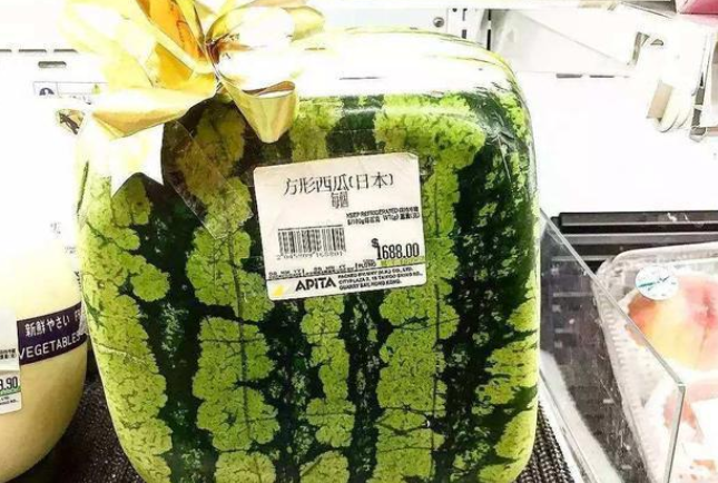 在日本，一个西瓜大约要多少日元？折合人民币是多少