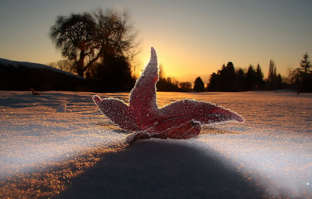 霜降朋友圈说说