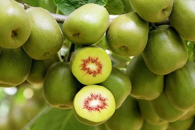 猕猴桃能放多久啊