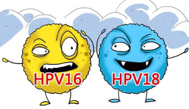 男人感染hpv16症状要紧图片