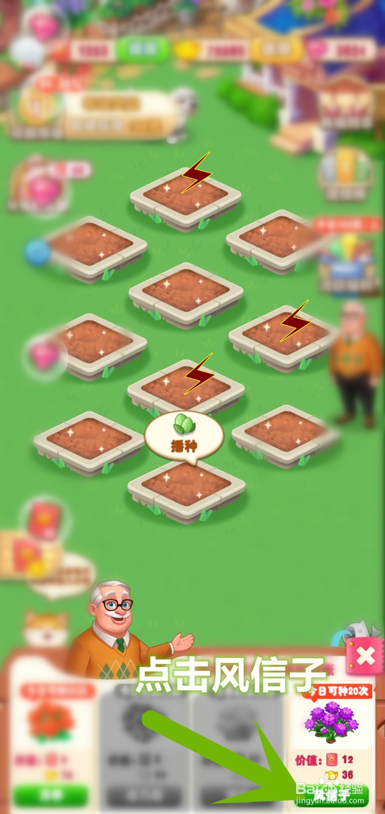 爷爷的花园怎么解锁高价值风信子