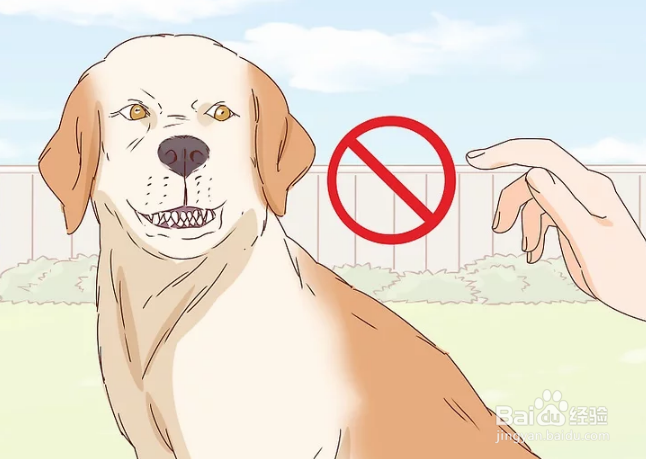 如何抚摸陌生的狗狗和熟悉的狗狗