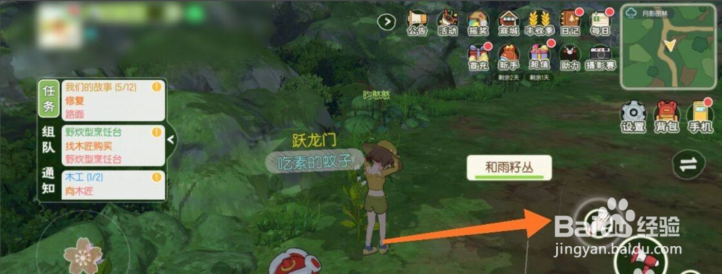 灯闪果丛怎么获得