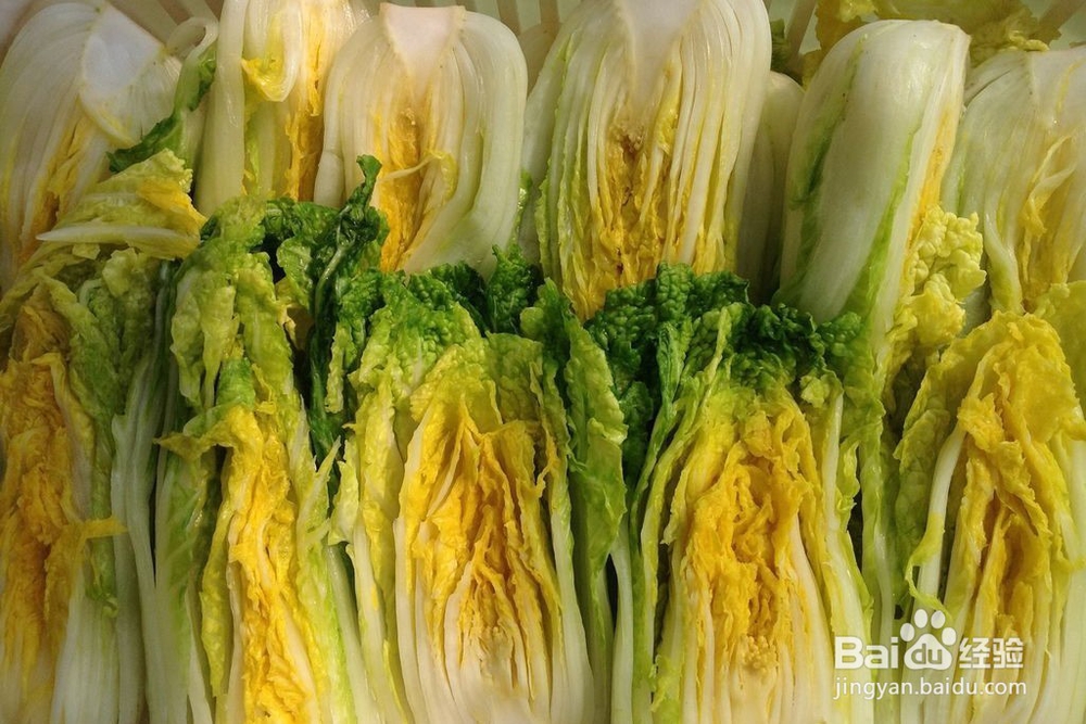 如何选购白菜？