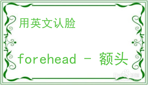 教你用英文认脸