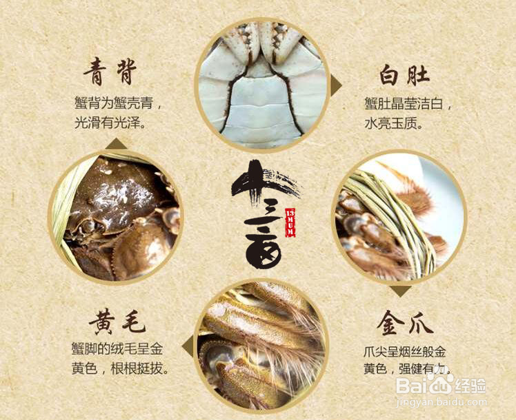 教你怎么挑选高品质的太湖大闸蟹