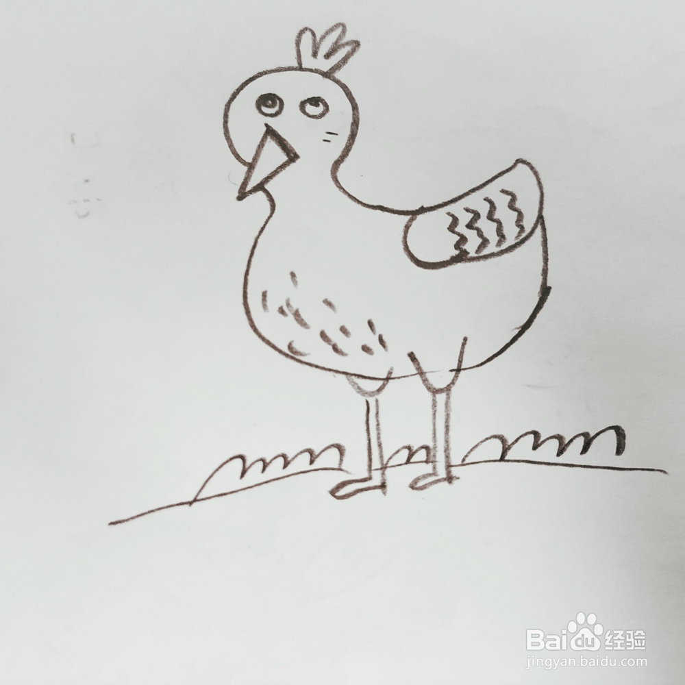 我们如何来画一只卡通版孔雀简笔画呢