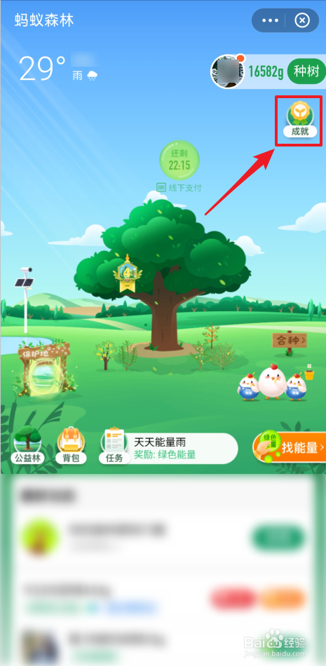 如何查看支付宝蚂蚁森林植树成就