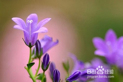 烦恼了，怎样自己安慰自己