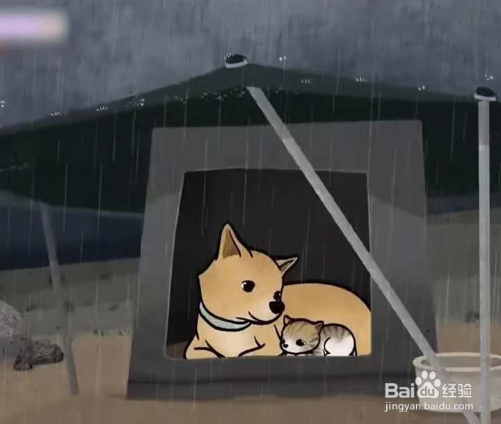 乡间的暑假生活攻略