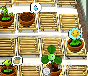 植物大战僵尸如何使用休闲花园
