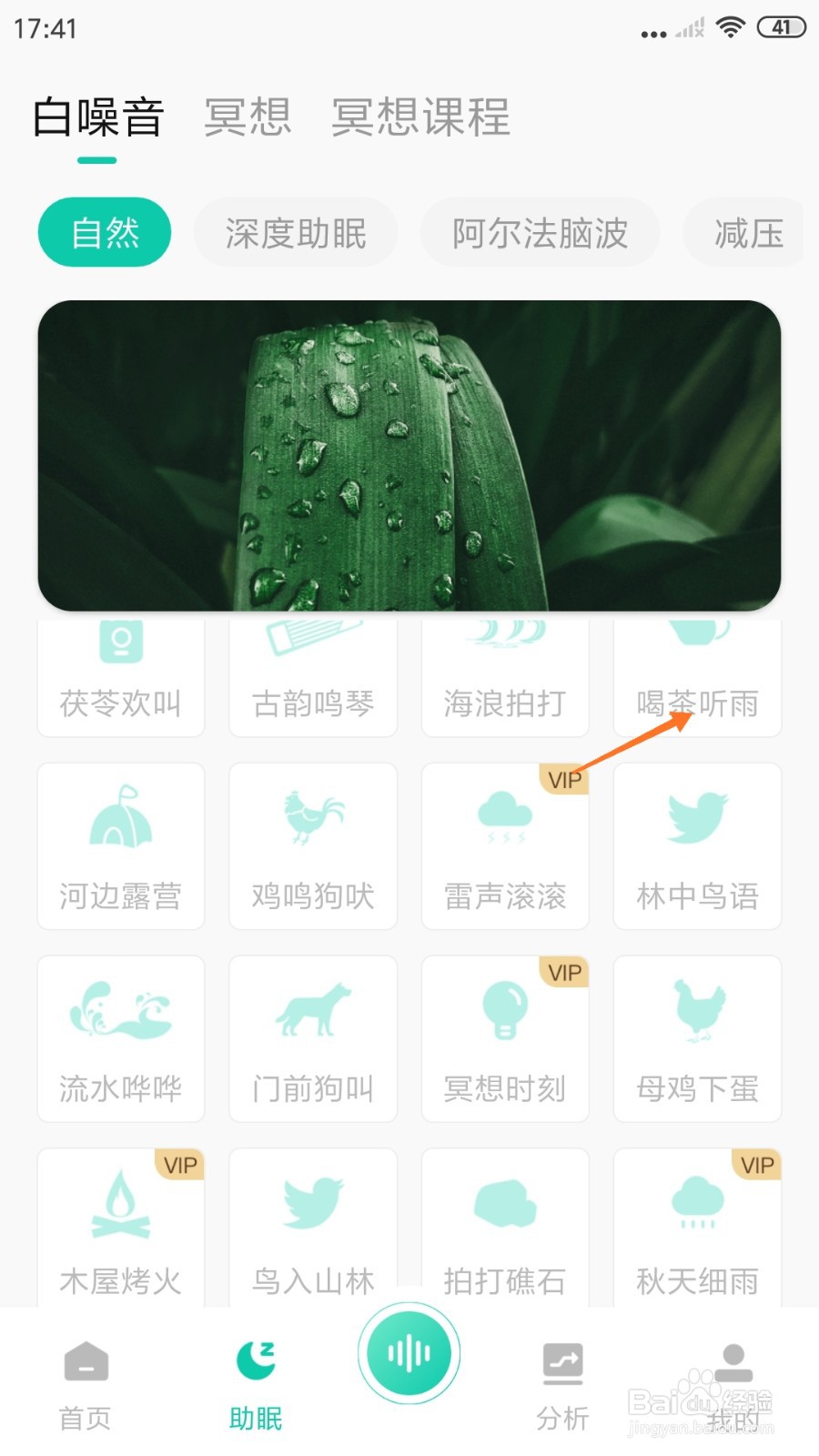 萤火虫睡眠中如何试听喝茶听雨
