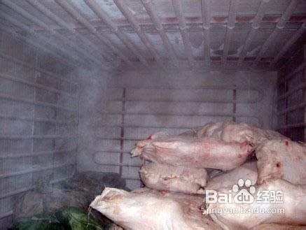 鉴定太岁肉灵芝,如何鉴定纯天然野生太岁肉灵芝