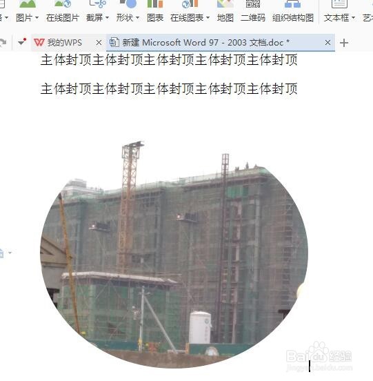 word插入图片