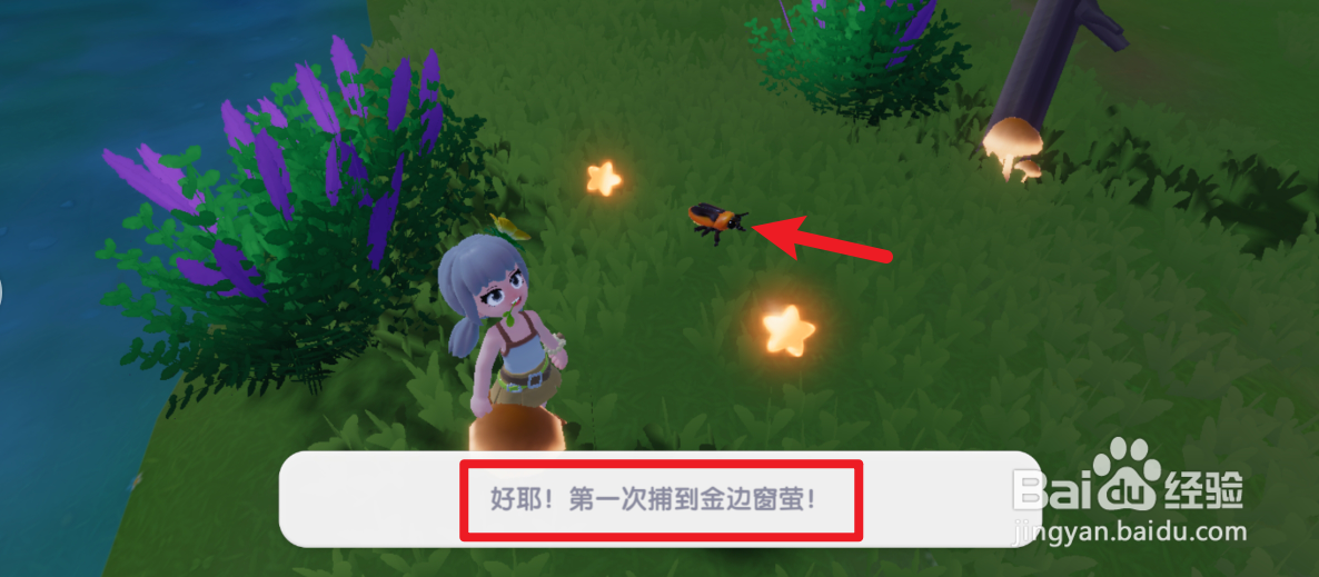 心动小镇怎么获得金边窗萤