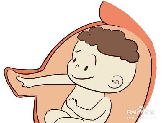 哺乳期可以节食减肥吗？科学验证