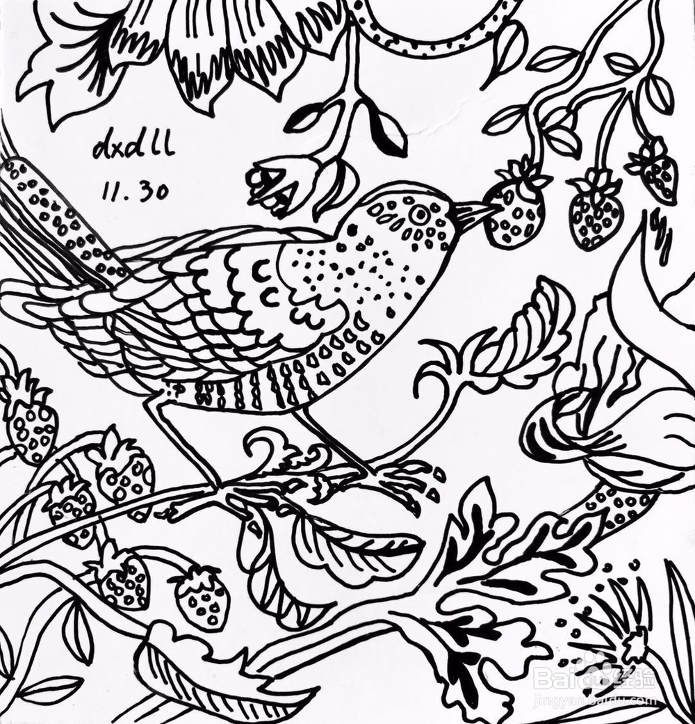 茉莉水彩手绘之富贵吉祥鸟