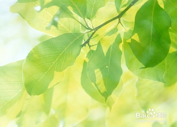 如何有效的网上投简历