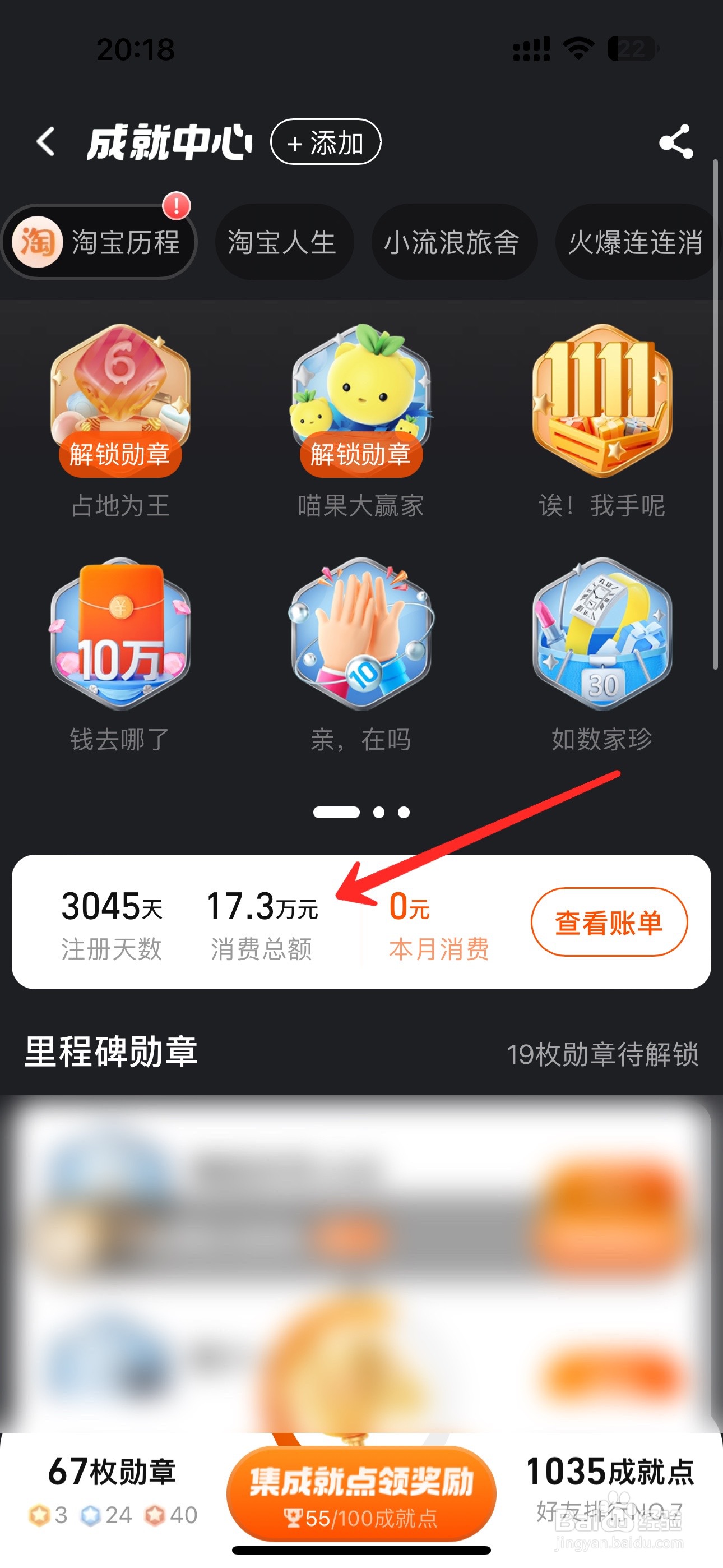 淘宝查消费总额在哪