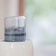 不点外卖46-黑芝麻红糖卷