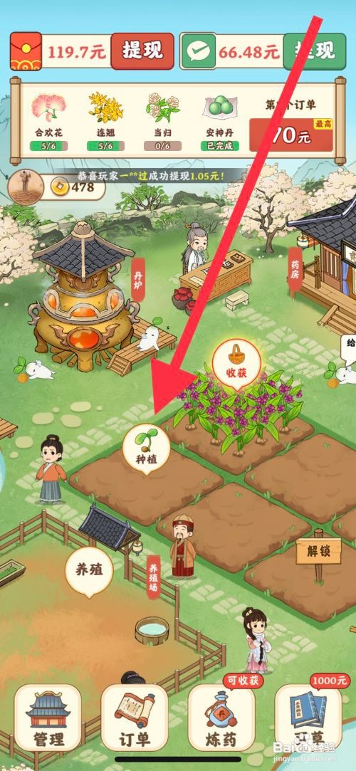杏林世家怎么查看成功种植川贝