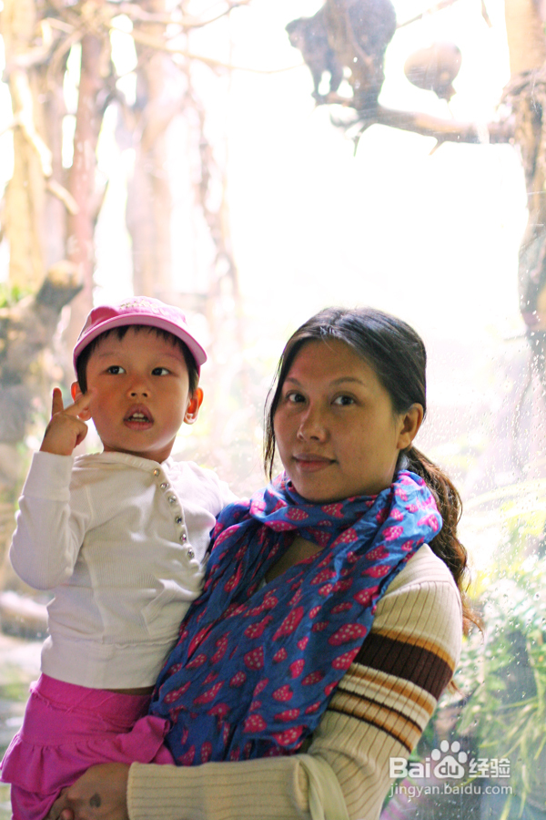 温哥华水族馆:水中舞动的精灵们