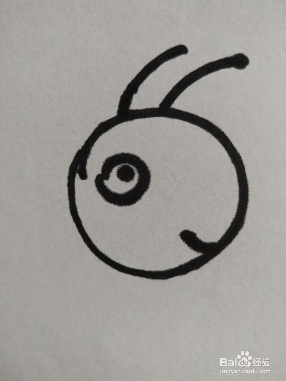 蜜蜂的简笔画技法9