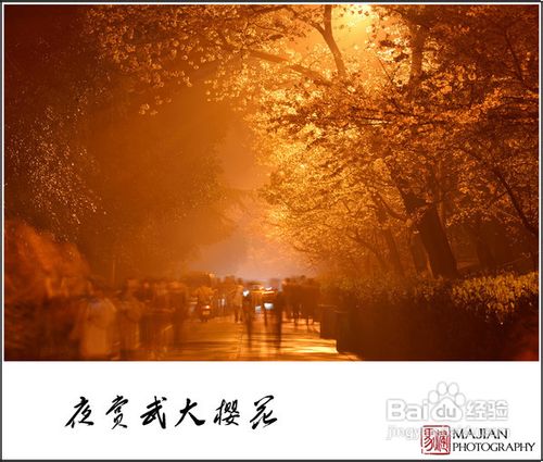 历史名校武汉大学赏樱游记攻略