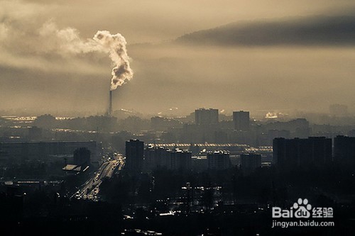 怎样去除雾霾、防止雾霾的危害