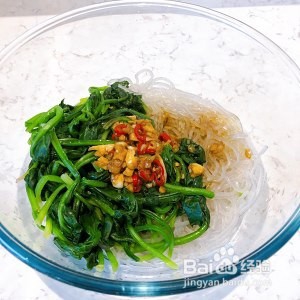 怎么做美味的凉拌粉丝菠菜