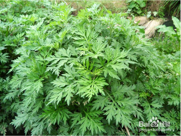 春天怎么防潮除菌比较好