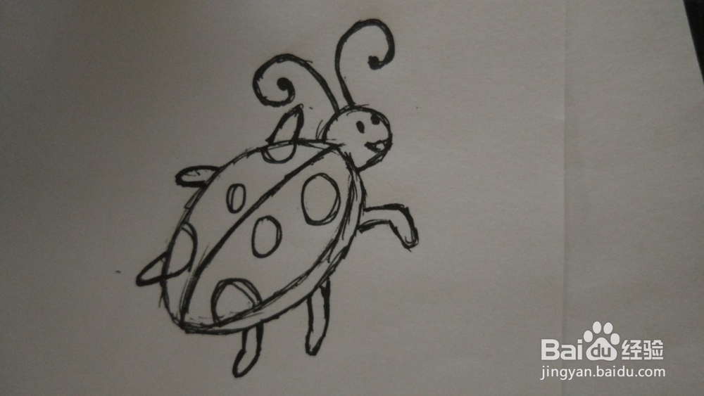 如何简笔画瓢虫